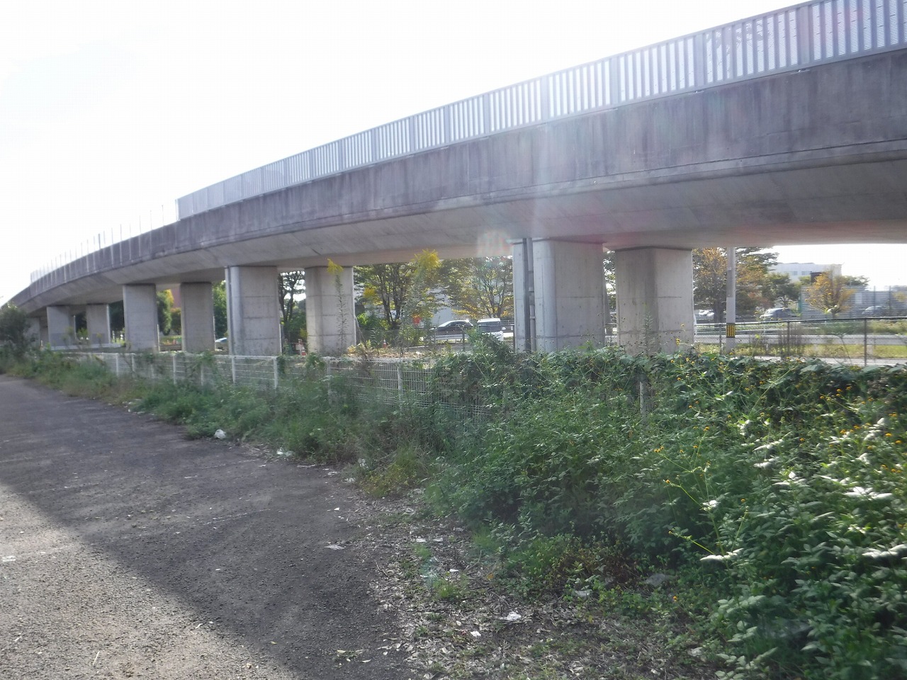六丁目橋橋梁補修工事