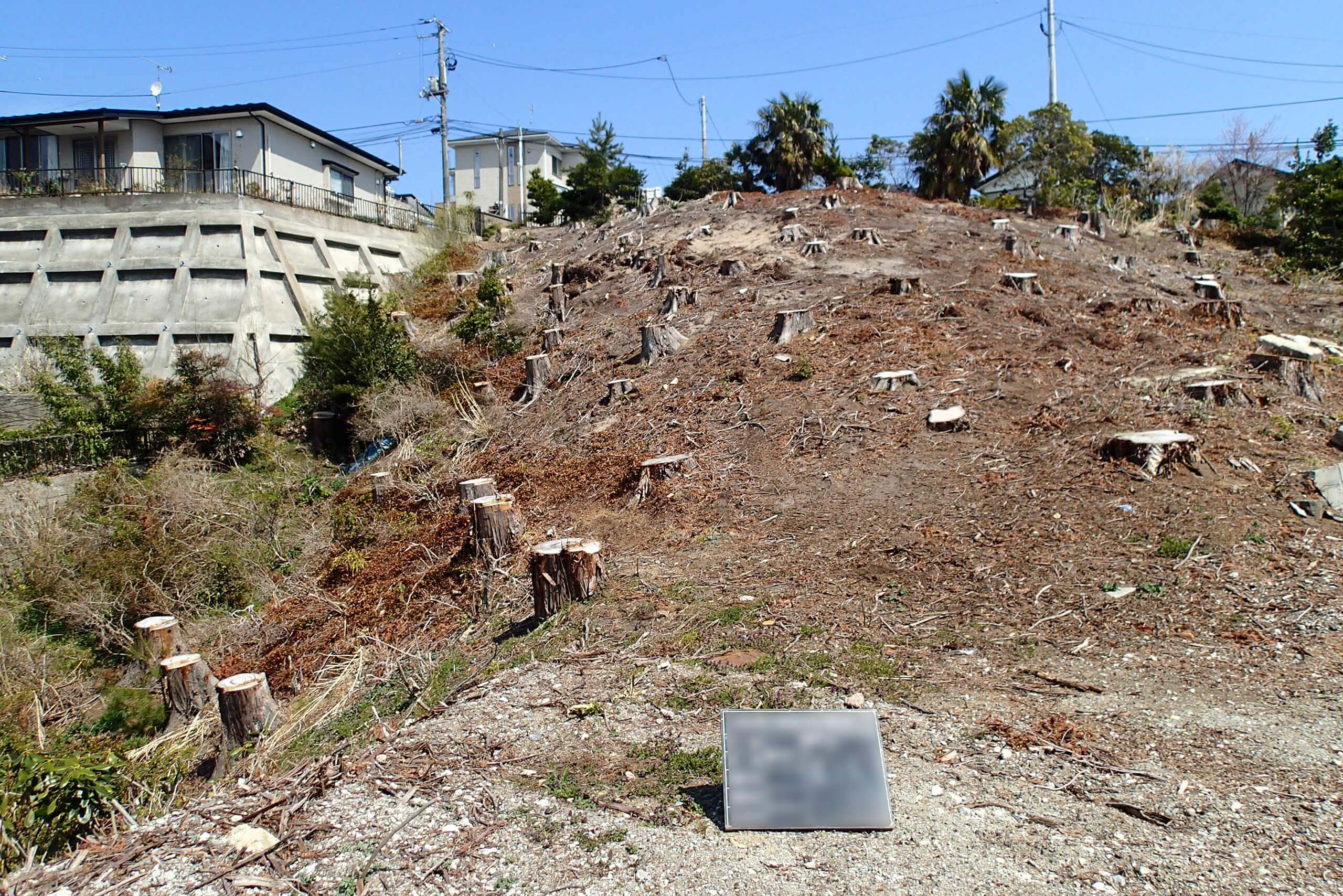 宮城野区緑地保全整備工事